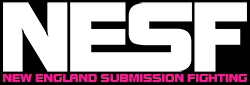 //www.amherstmma.com/wp-content/uploads/2024/01/best-master-nesf-logo-pink-dark-150-JPG.jpg